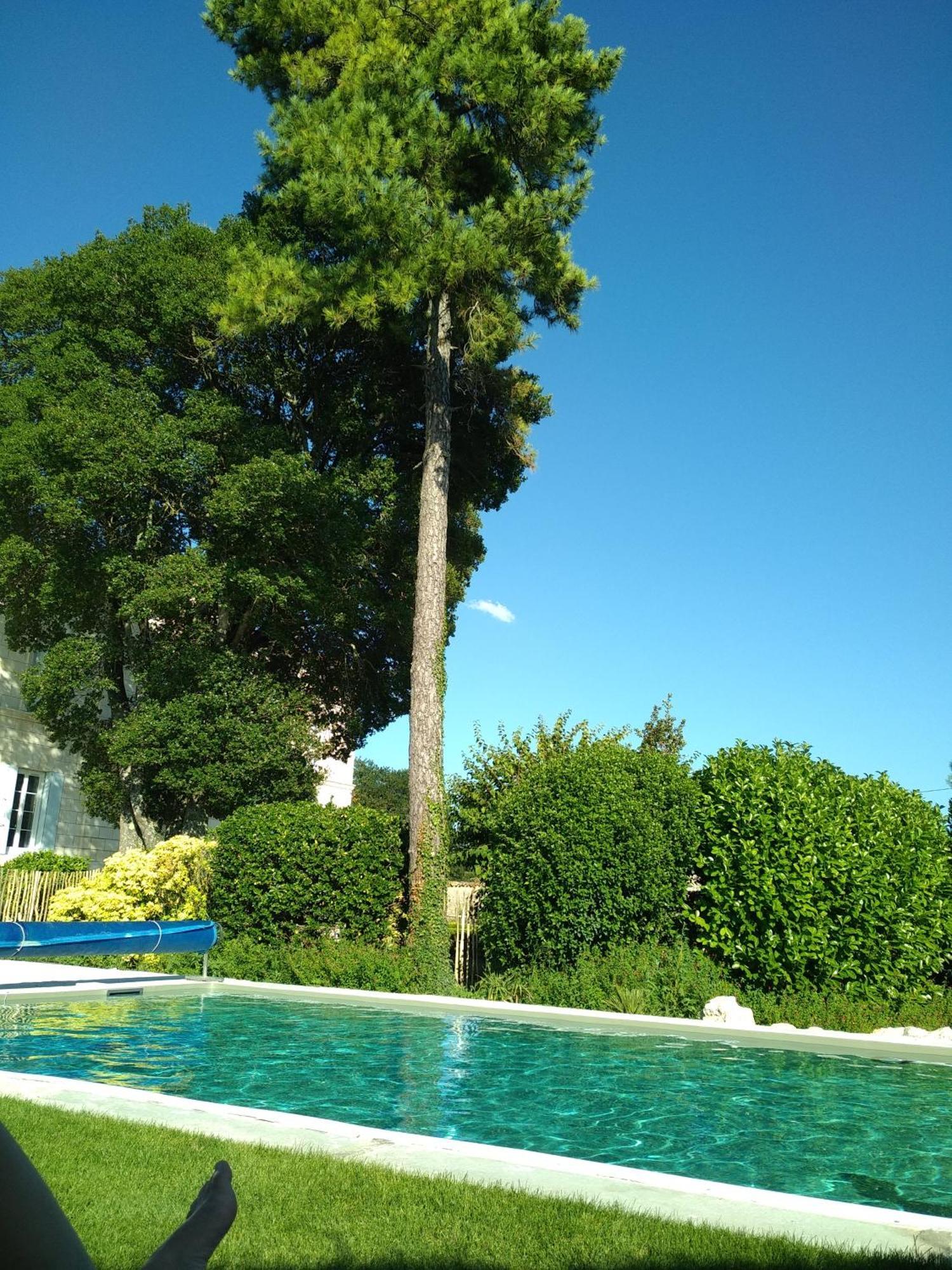 Les Croque-Notes, Chambres Et Table D'Hotes Lorignac Buitenkant foto